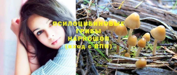 твердый Абаза