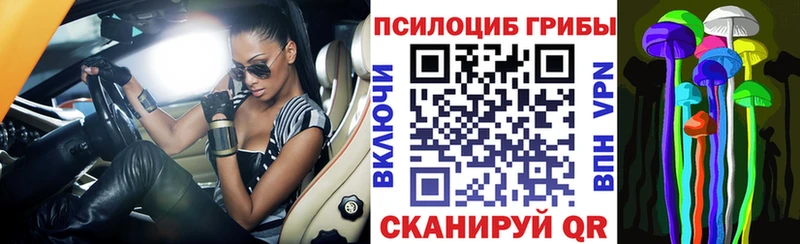 Псилоцибиновые грибы Psilocybe  Мостовской 