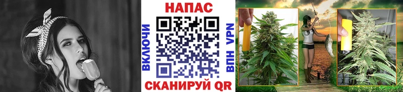 где найти наркотики  Мостовской  Каннабис VHQ 